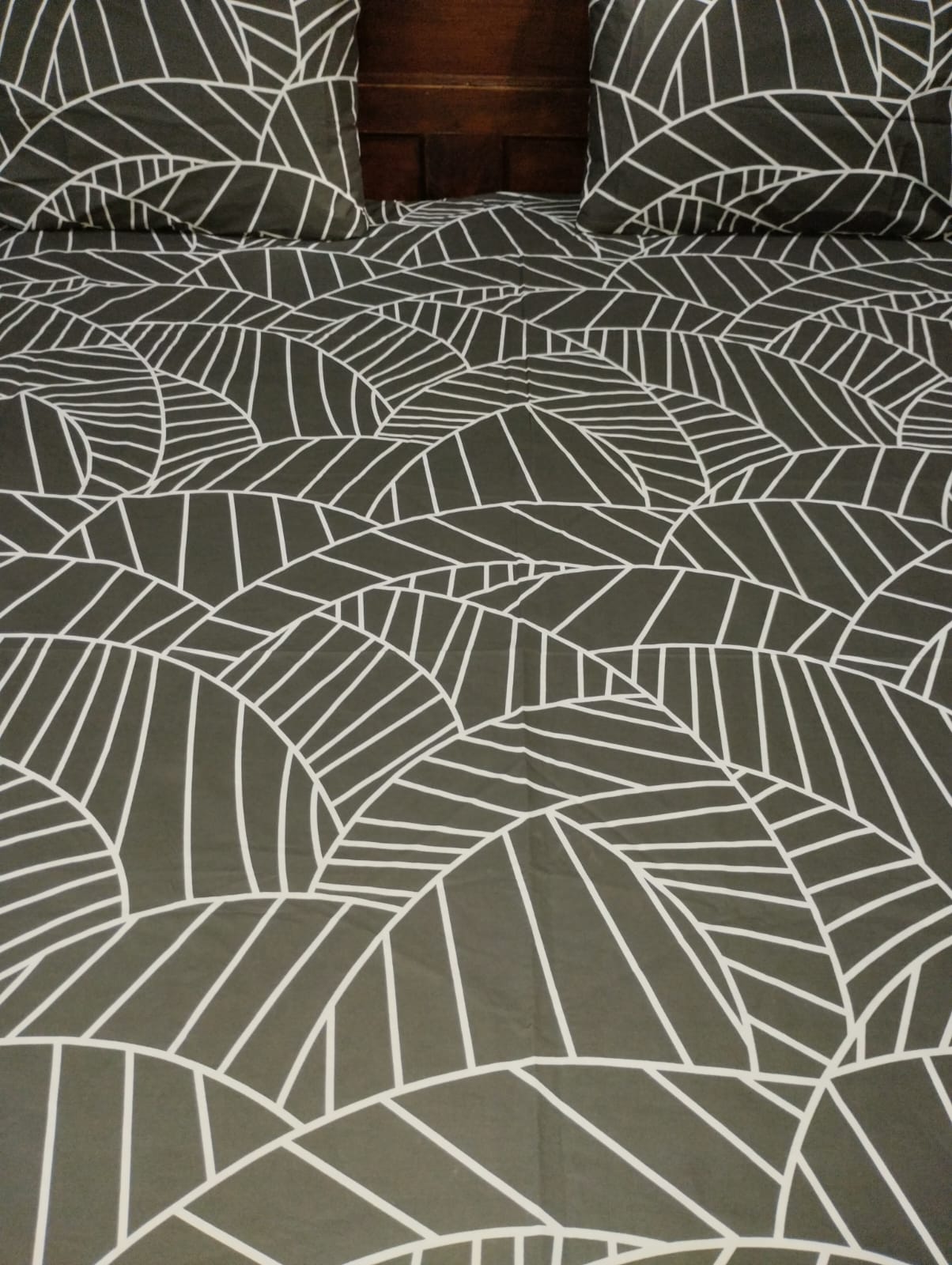Olive Canopy